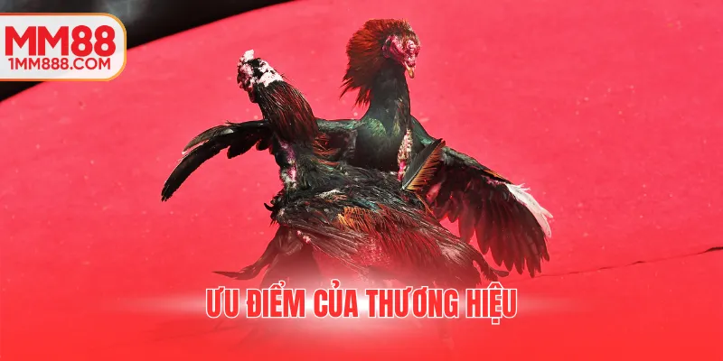 Ưu điểm của thương hiệu
